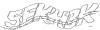 Check code